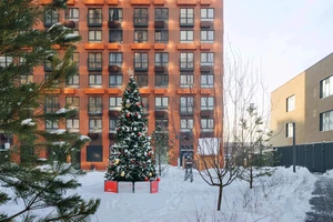 ЖК Первый Дубровский