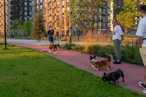 ЖК Холланд парк